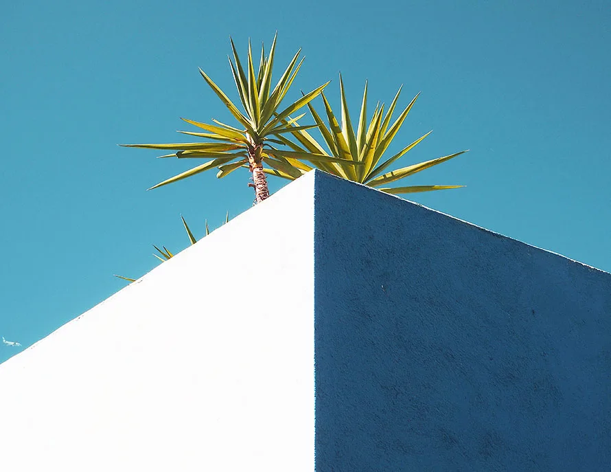 大神观赛指南 - 球友体育2
